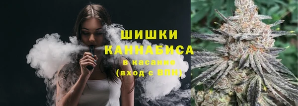 крисы Баксан