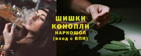 крисы Баксан